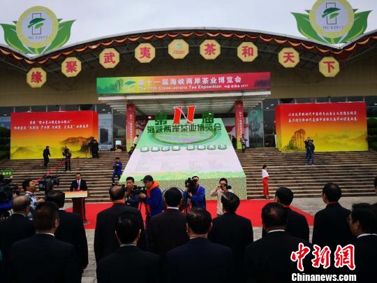 第十一届海峡两岸茶博会采购商云集|陈伟|茶博