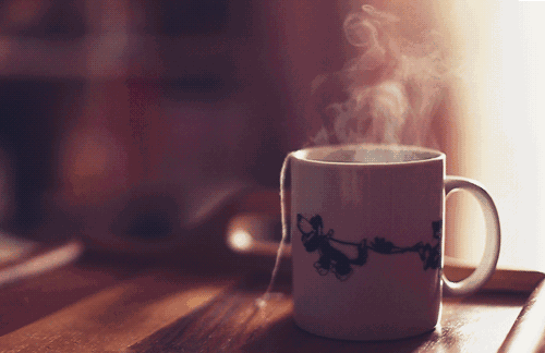 与你App约茶功能全解析：新手零基础入门指南小揭秘