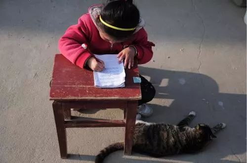 城里父母为陪写作业发愁 农村儿童苦于无人陪