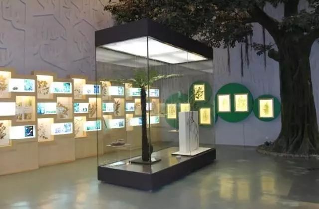 不用出远门也好玩的地方就多着呢!广州最适合