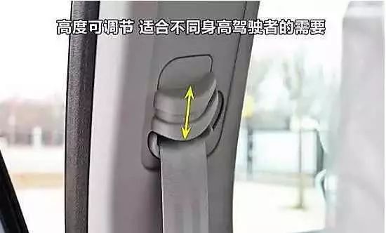 10个鲜为人知的冷知识,你都知道吗?一起来涨姿