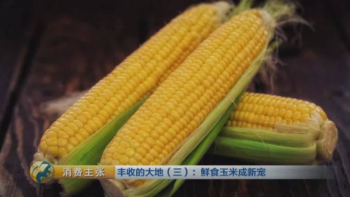 糯玉米 Ywmh-fynstfh9952249.jpg