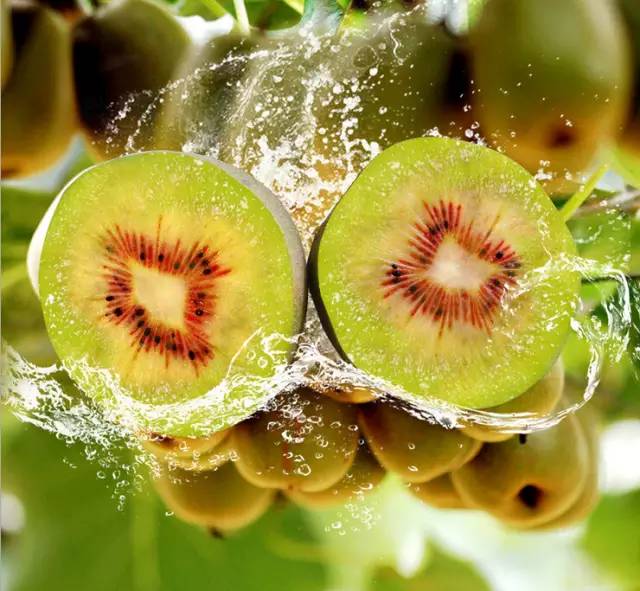 实用!猕猴桃到底是不是奇异果!红心、黄心、绿