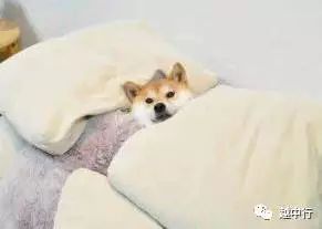 厚被子盖起来