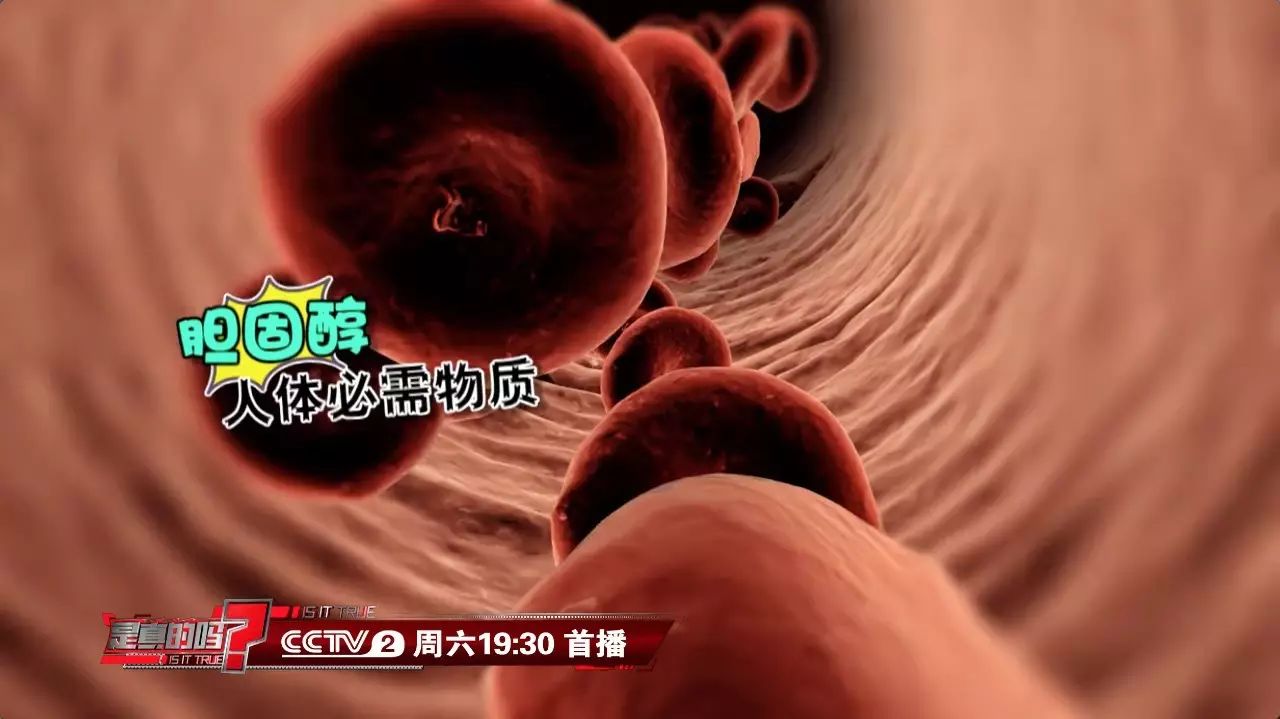 一天吃一个鸡蛋,到底好不好? 终于明白了|胆固