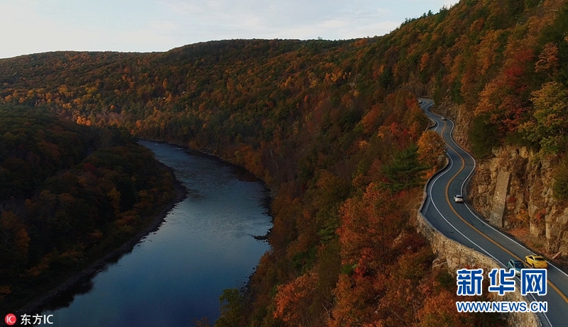 层林尽染秋色暖 美摄影师航拍秋日咏叹调|摄影