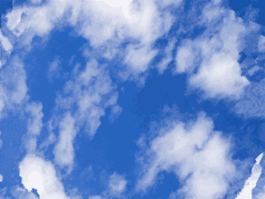 最!好!成!绩!是大连十月的蓝天创造的!