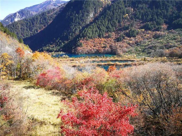 那山那水那天!震后100天记者重返九寨沟看到了