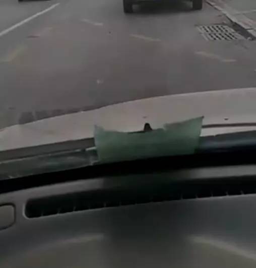 沧州车主发朋友圈不满停车被贴条,质疑交警欺