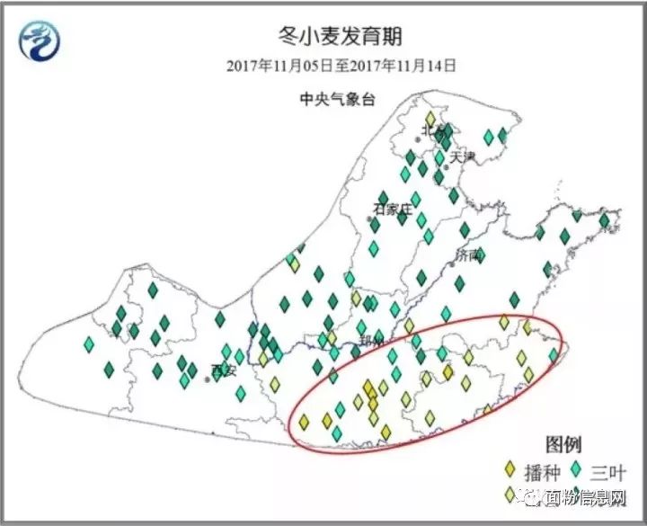 2018年小麦的第一次大威胁来了!|农产品|期货|