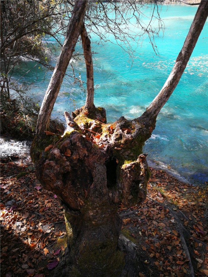 那山那水那天!震后100天记者重返九寨沟看到了