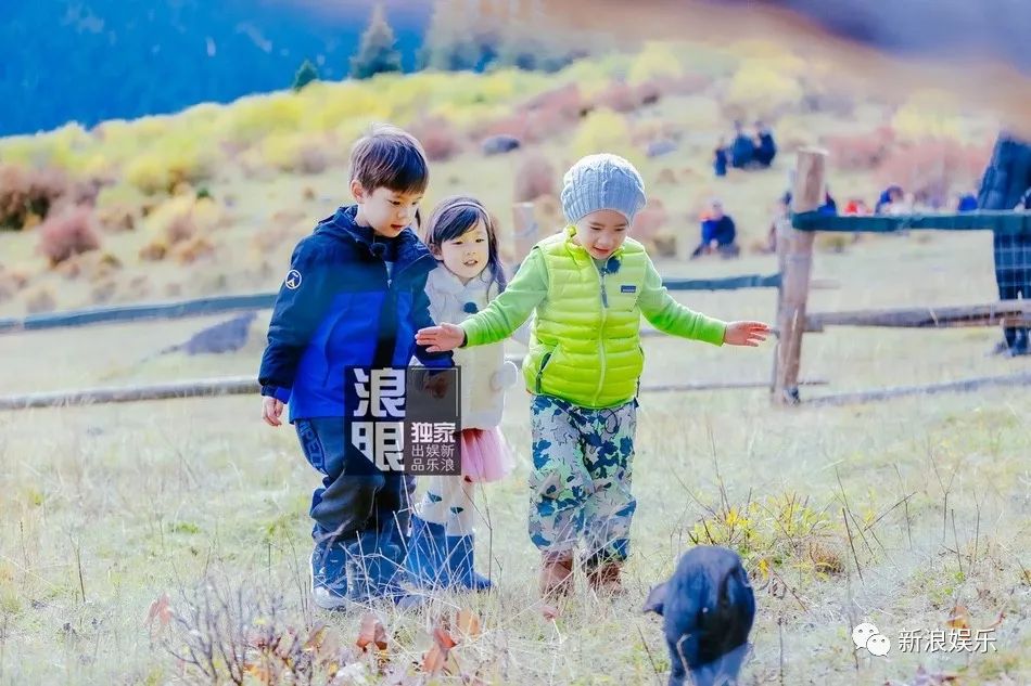 这照片拍的很有技术性!这减肥餐做的很有技术