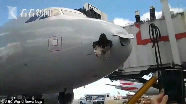 美国一架客机空中撞大鸟机头掀掉一块儿 平安降落后大鸟仍嵌在机头上