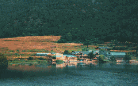 【好去处】致亲爱的你:慢下来,去(崇明)生活