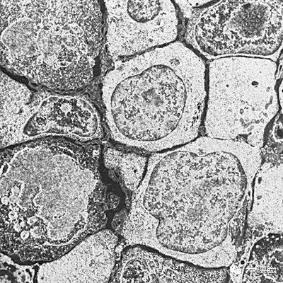 热巴和何穗要是知道 自己是被这个抖音神器毁了