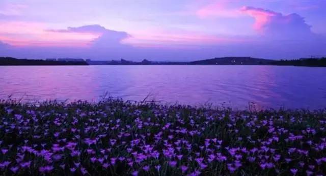 终于等到你!虎门滨海大道通车,深圳前海到东莞