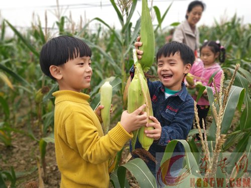 市委机关幼儿园开展生态生活 快乐同行社会实