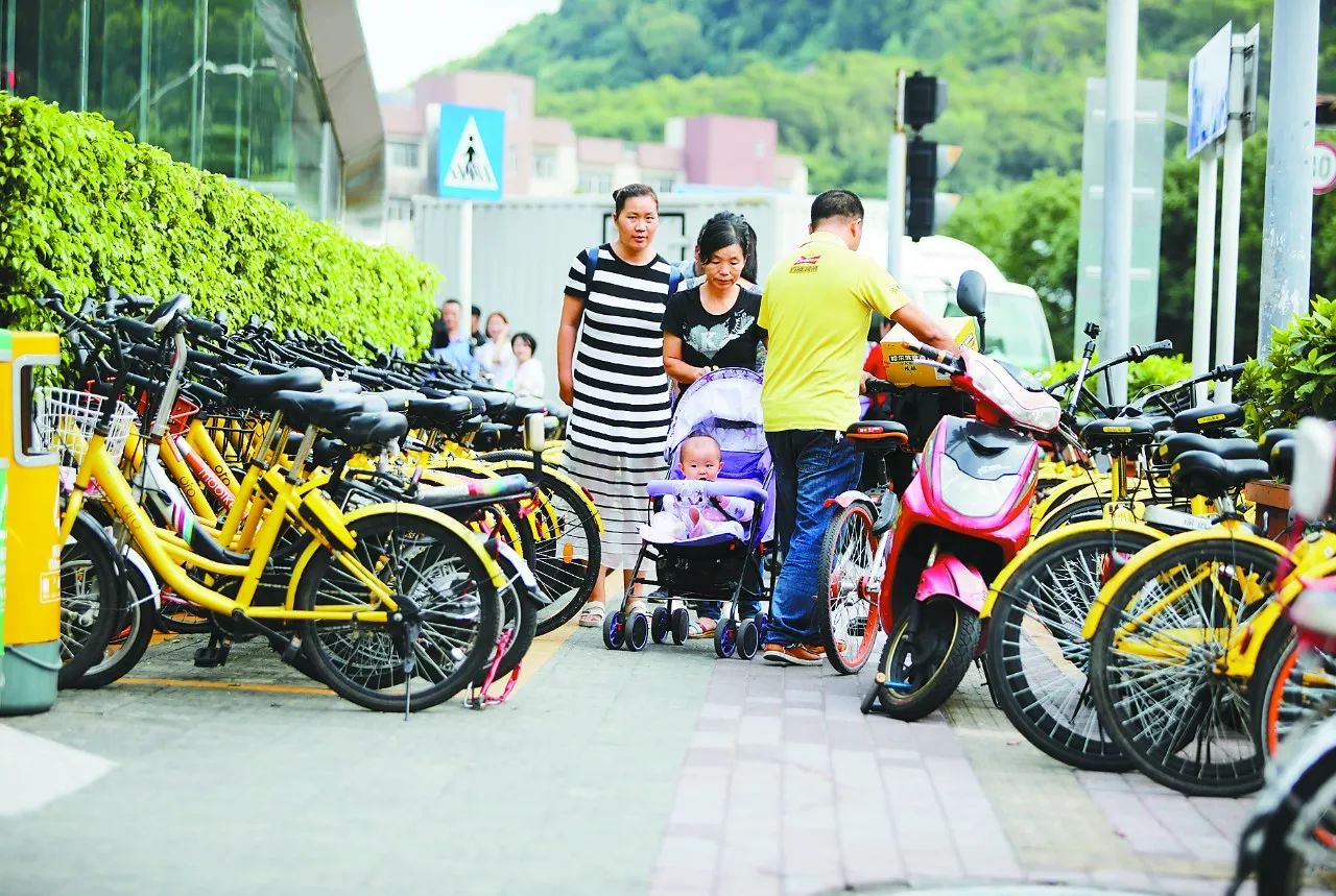 共享单车很难管?看看深圳怎么管|共享单车|罚款