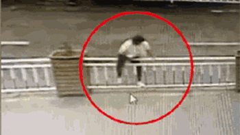 一头扎进栏杆缝中.