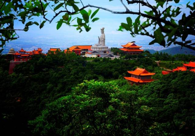 终于等到你!虎门滨海大道通车,深圳前海到东莞