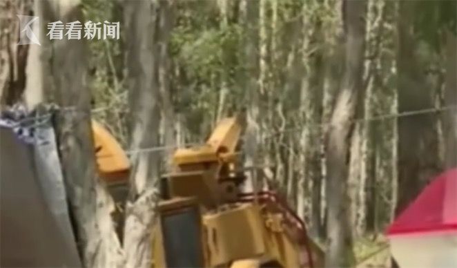54岁农民帮邻居清理车道 不慎跌入碎木机当场惨死
