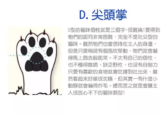 没想到你吧,猫也能看手相