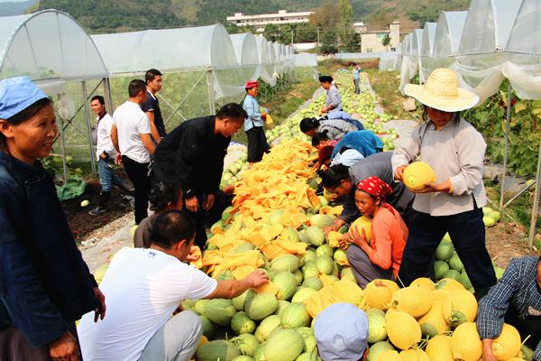 头】昂首阔步走在脱贫攻坚道路上|黔西南州|黔