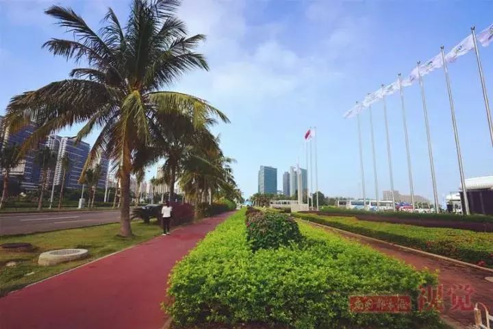 七天漫步滨海慢行道,南瓜妹和你浪漫之约告一