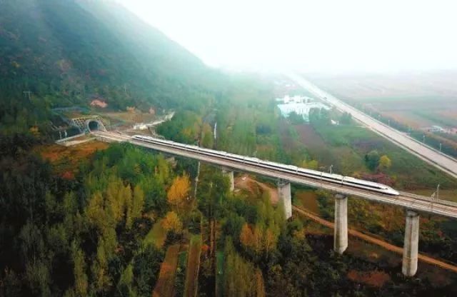 朋友圈被黄金眼刷屏!以后带你去成都,全靠它