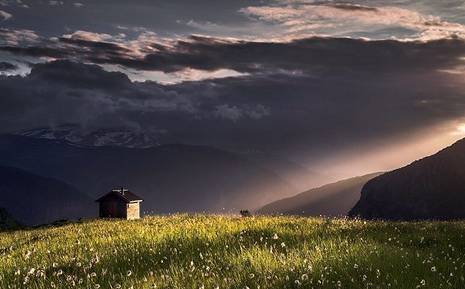 当你不再证明自己时,美就绽放了