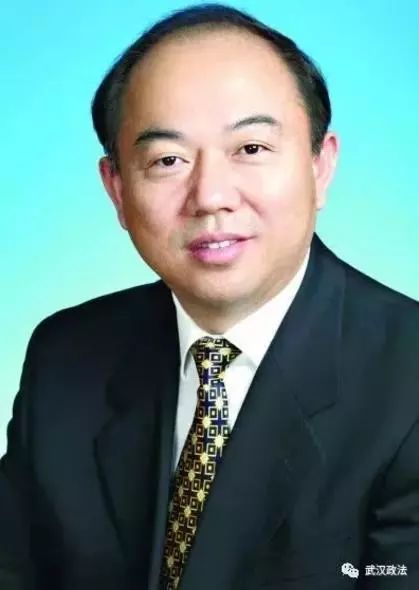 人事|武汉市委组织部迎来新部长|政法委|市委|组