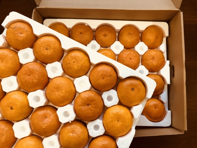 【挑好货】十一月,台州临海的涌泉蜜桔红了。