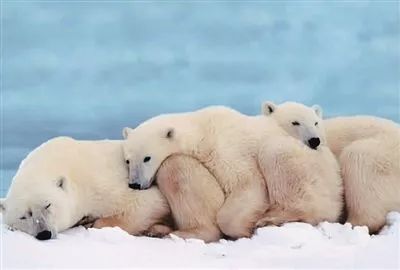 今天是个特殊的日子,天津人千万别忘了!|养生|农