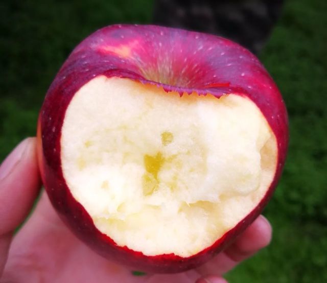 比美国蛇果、日本富士还牛的苹果!全球榜单前