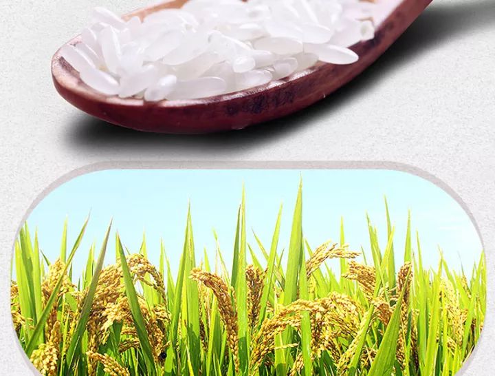 五常大米怎样煮最好吃 ru24-fynwnty4782546.jpg