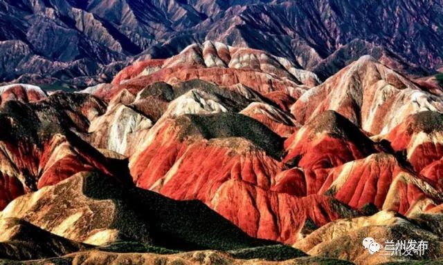 乡江南 看舟曲凤凰涅盘! 走进临泽 为金张掖打