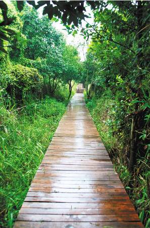 别再问初冬的昆明周边哪里好玩!这些地方有山