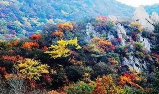 别再问初冬的昆明周边哪里好玩!这些地方有山