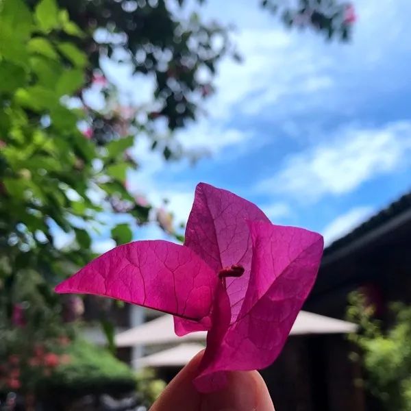 一曲萨克斯《往事只能回味》,听到心醉!致逝去