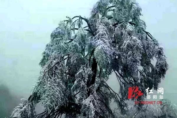 图+视频!湖南多地迎入冬首场雪,它离长沙只剩