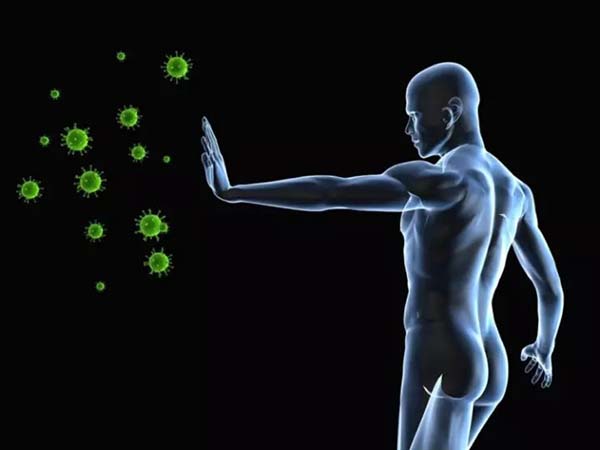 免疫系统可以帮助我们识别菌落的“身份”。