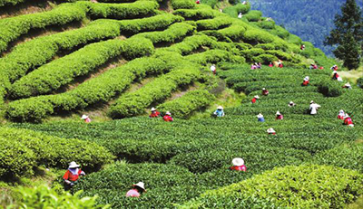 改革破题,做好乡村振兴大文章