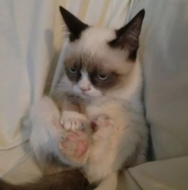 痛可忍痒不可忍!脚气不可怕,谁得谁尴尬!一周,