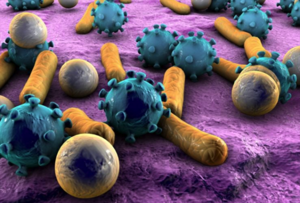 解决抗生素耐药性的问题,可能要靠纳米机器人了|纳米|耐药性|抗生素_新浪科技_新浪网