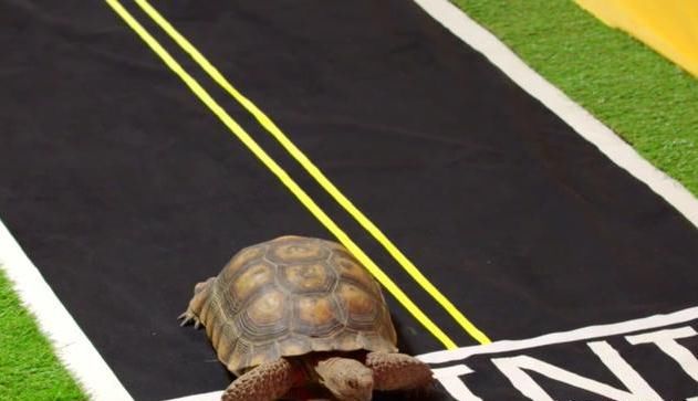外媒:印度经济正导演皇帝的新装,真实水平或超