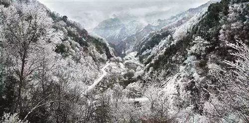 重庆这一波降温有点陡!走,穿好秋裤去看雪!|重