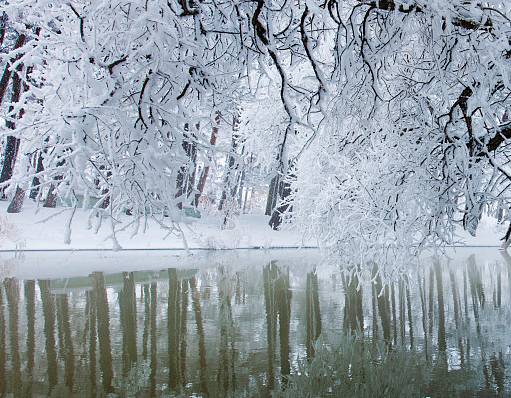 重庆这一波降温有点陡!走,穿好秋裤去看雪!|重