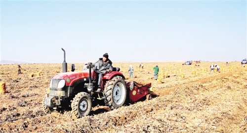 面实施马铃薯良种工程 深度开发新产品:定西马