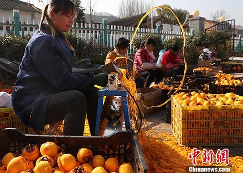 资料图：柿子深加工助力陕西陇县范家营村脱贫。 中新社记者 宋吉河 摄