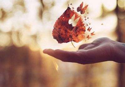 慢读时间| 不占便宜 是一个人的教养,也是情商|